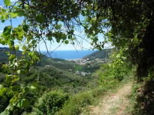 VOGELE Legnaro to San Bartolomeo2