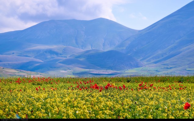 5626285087_410ac16afb_b (2)